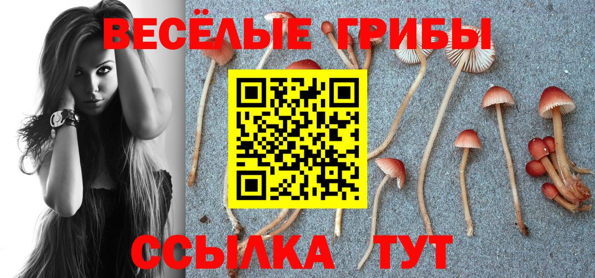 Псилоцибиновые грибы мухоморы  Галлюциногенные грибы MAGIC MUSHROOMS  купить наркоту  Сосновый Бор  Вход с VPN 