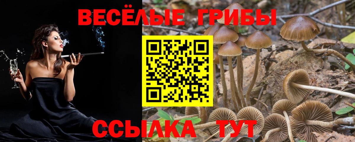 ГАШИШ  ГАШИШ  Марихуана  COCAIN  Вход с VPN  A-PVP СК   Сосновый Бор  Мефедрон кристаллы 
